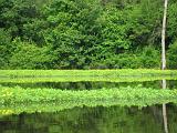20080608 Falls Lake 015